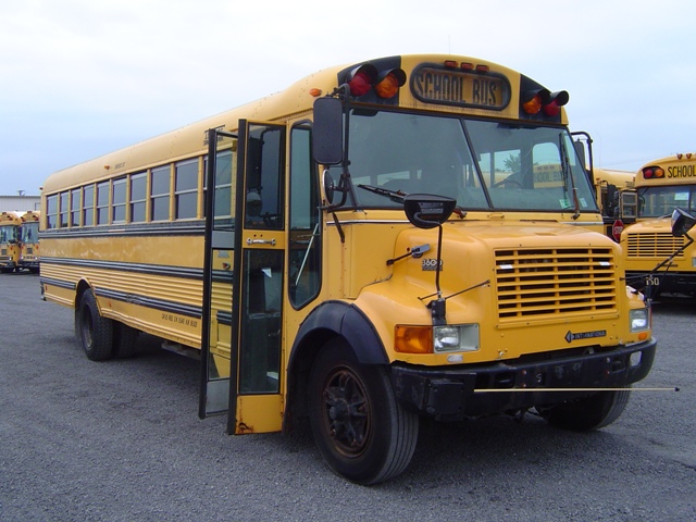 International 3800 (School Bus) - Trucks Wiki