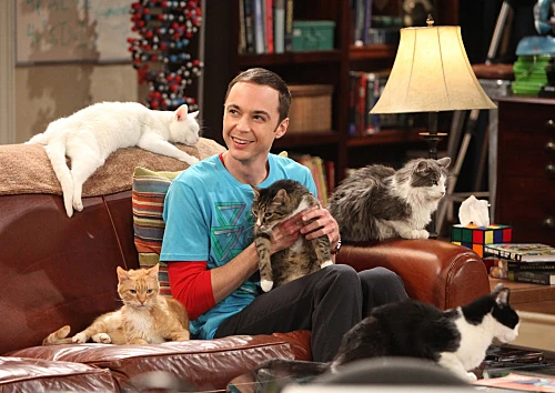 Big-bang-theory-s4e3-zazzy-substitution-06.jpg
