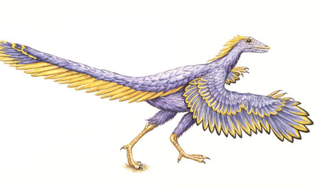 Archaeopteryx - Land Before Time Wiki - The Land Before Time encyclopedia.