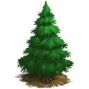 Pine Tree - FarmVille 2 Wiki