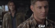 SPN-8x01-clip