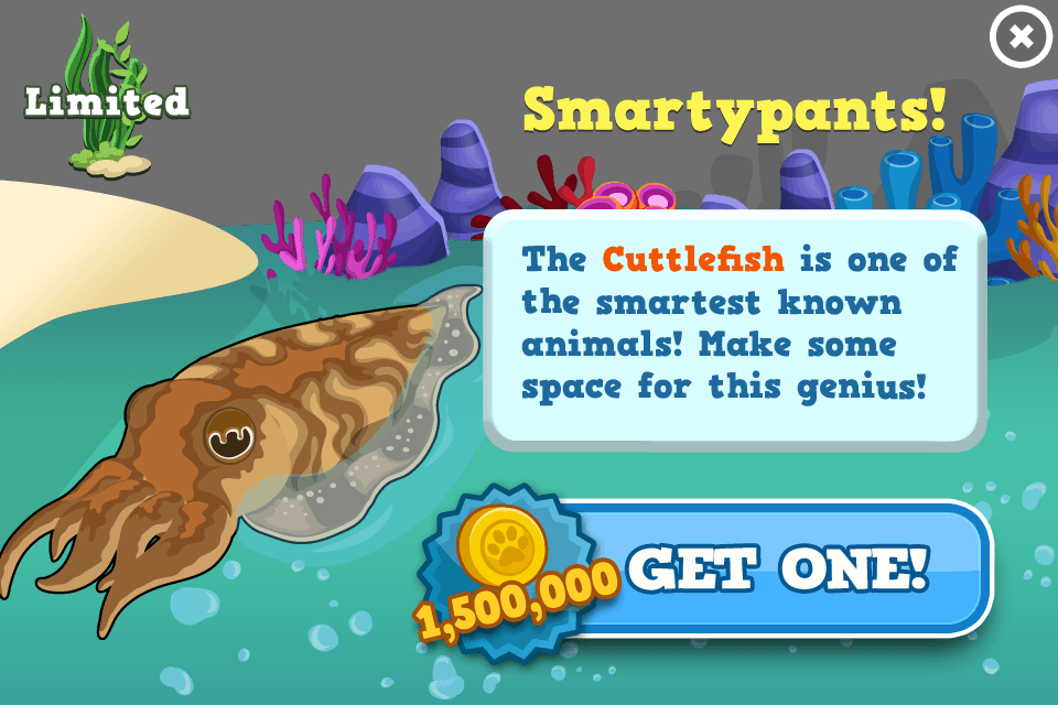 Cuttlefish - Tiny Zoo Wiki