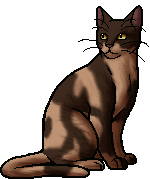 Rowanberry - Warrior Cats Wiki - Erin Hunter, The Blazing Star, Dawn of ...