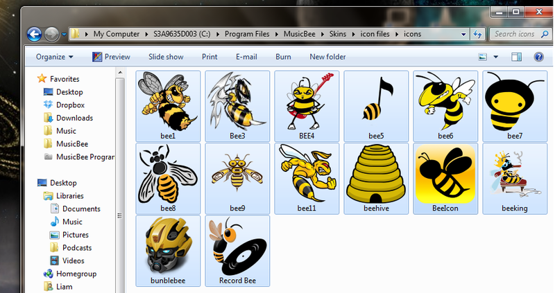 Icons - MusicBee Wiki