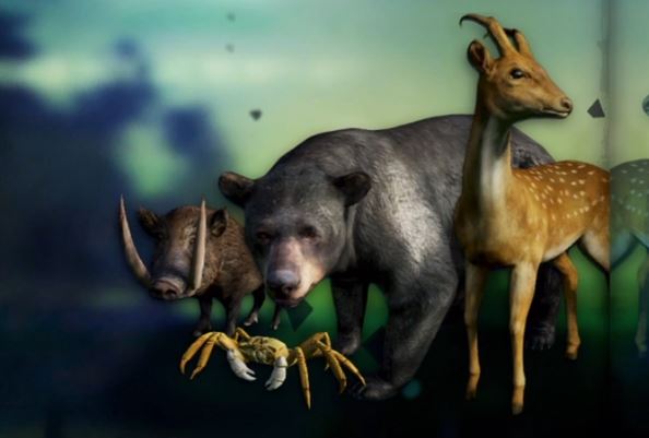 Far Cry 3 Animals Far Cry Wiki Far Cry 3 Animals Far Cry Wiki