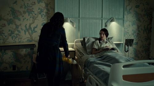 Alana and Abigail - Hannibal Wiki