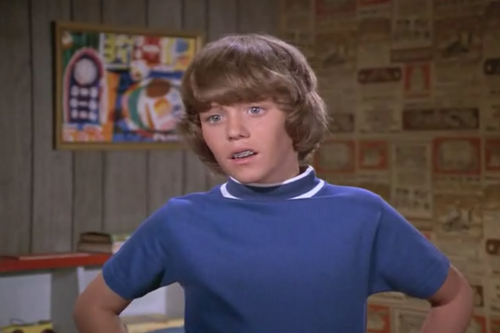 Bobby Brady - The Brady Bunch Wiki - Wikia