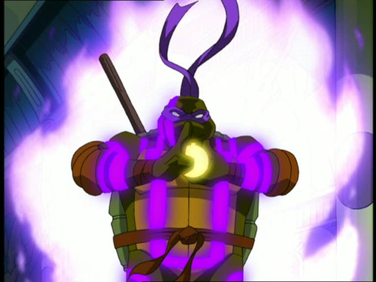 Donatello - 2003 TMNT Wiki