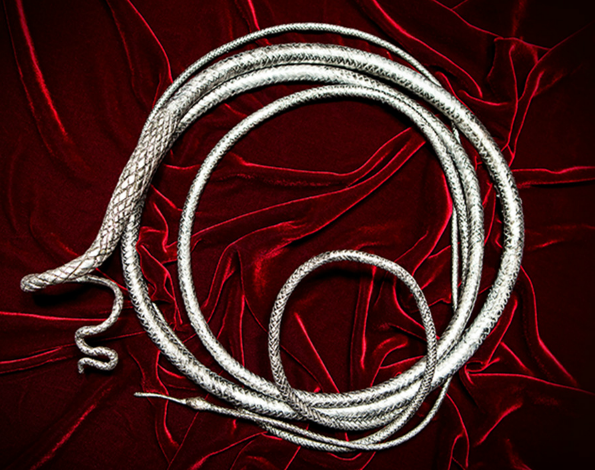 Isabelle's whip - The Shadowhunters' Wiki