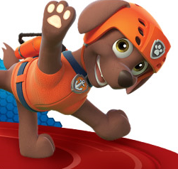 Zuma - PAW Patrol Wiki