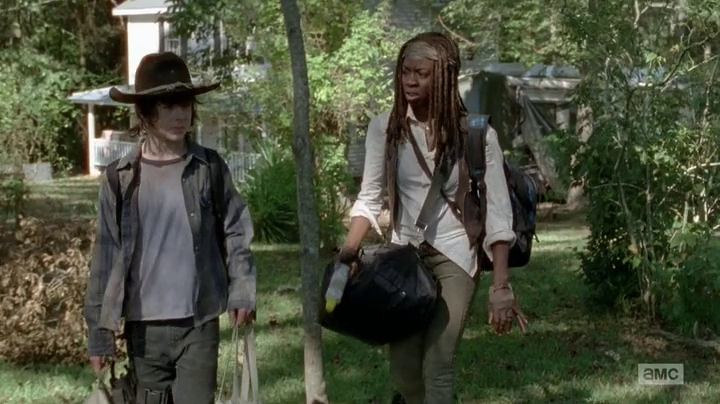 http://img4.wikia.nocookie.net/__cb20140225073407/walkingdead/images/e/e7/CarlandMichonne%28Claimed%2921.png