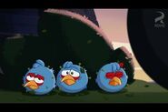 Bomb's Awake - Angry Birds Wiki