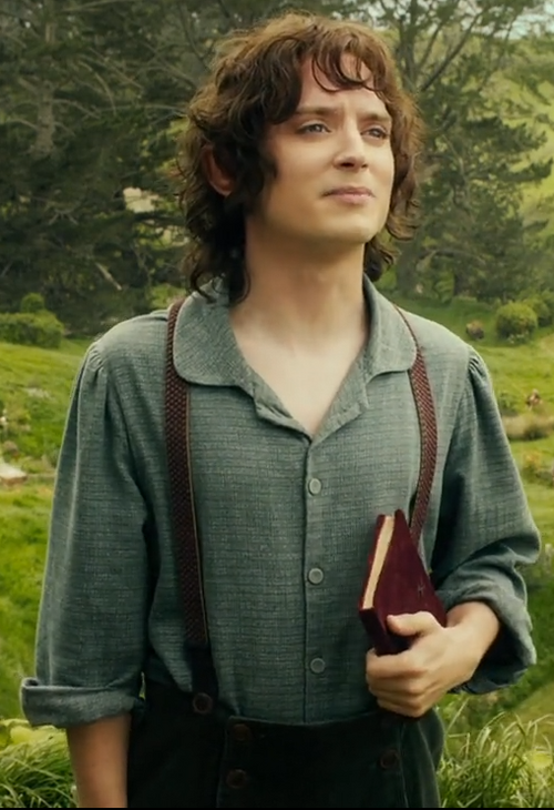 Frodo Baggins - Peter Jackson's The Hobbit Wiki