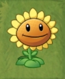 Sunflower - Plants vs. Zombies Wiki, the free Plants vs. Zombies ...