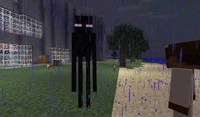 Enderman - Minecraft Wiki