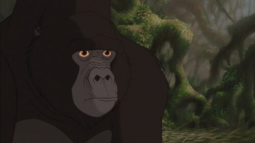 Kerchak - Disney Wiki - Wikia