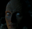 Thenn warg