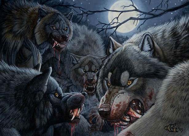 What Do Werewolves Eat