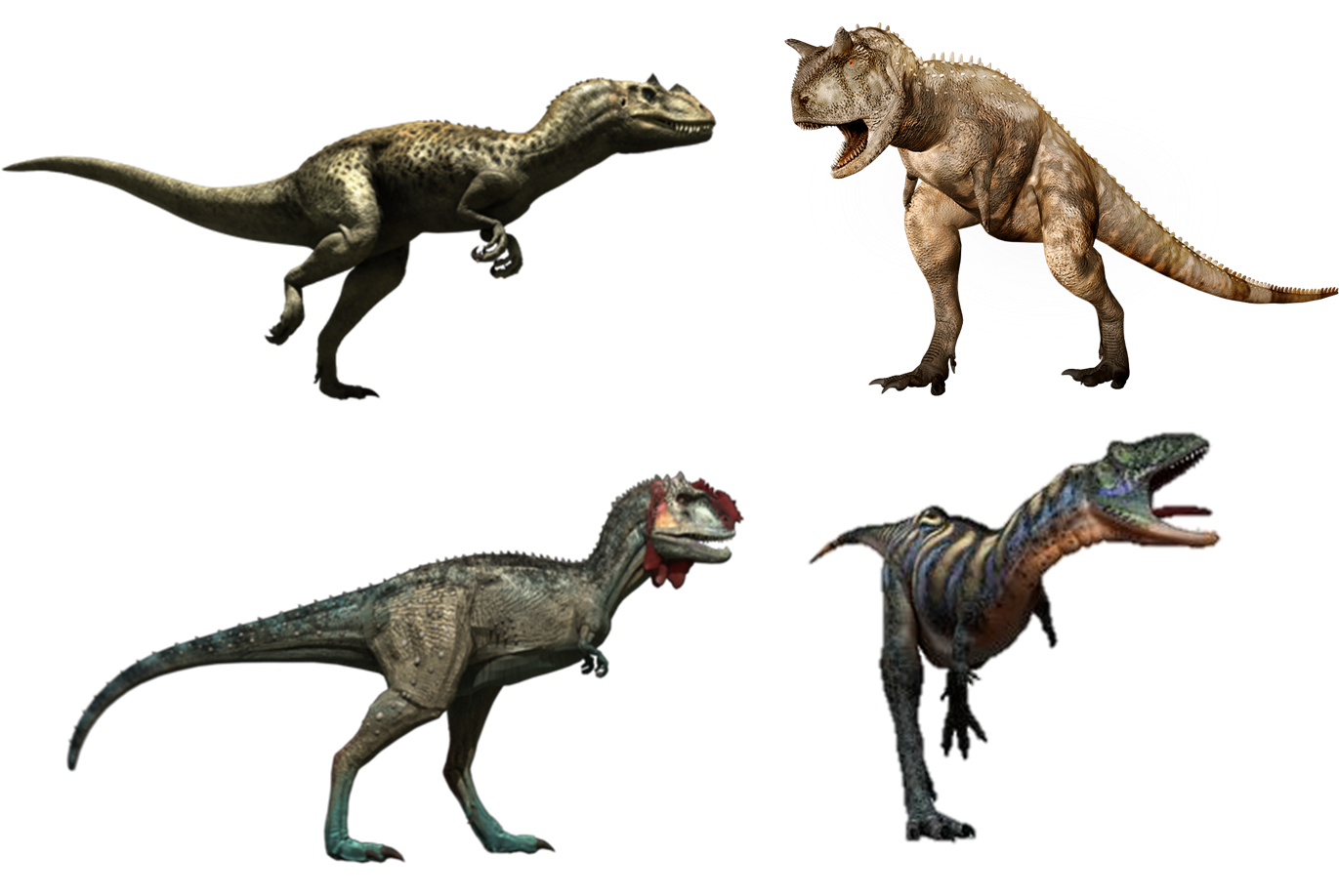 Ceratosaurs