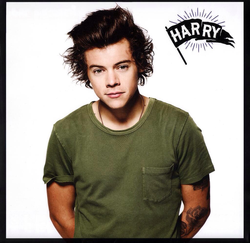 Image - Harry 2015.jpg - One Direction Wiki